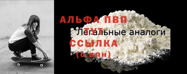 стаф Алексин