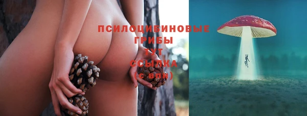 соль ск Алексеевка