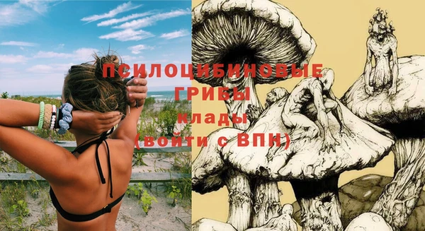 СК Алзамай