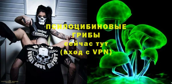 соль ск Алексеевка